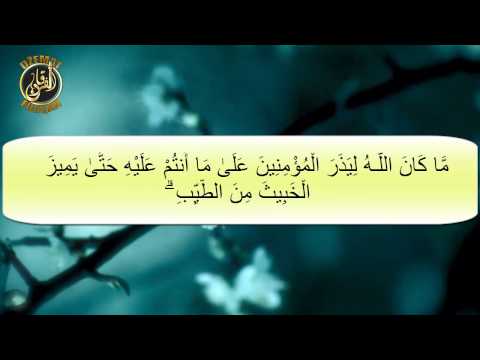 PRLJAVO I ČISTO - Šejh Adem Demirović ( Hutba, 14.08.2015)