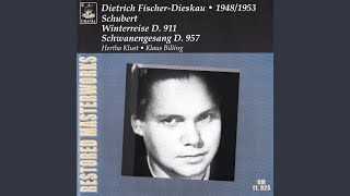 Winterreise D. 911: XII. Einsamkeit