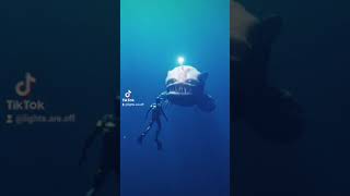 There&#39;s always a bigger fish 🐠 #shorts