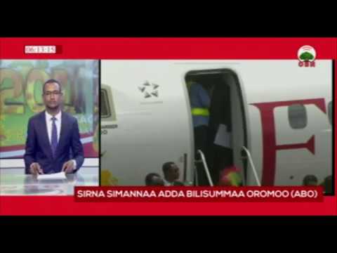 Simannaa Booleetti Jaal Daawud Ibsaa Ayyaanaf Taasifame 05 01 2011