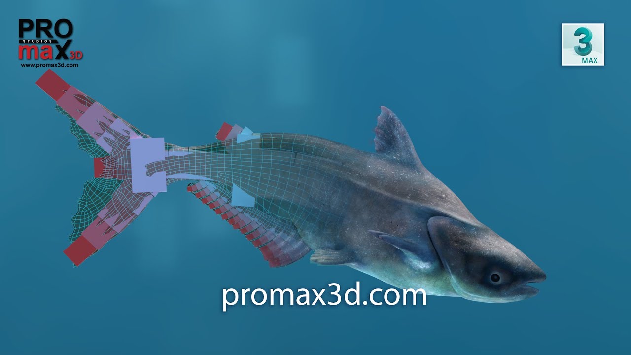 Manipulierter Mekong-Riesenwels 3D Modell