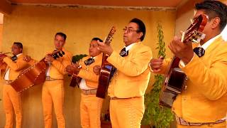 Mariachi EMPERADORES - "ESTOY ENAMORADO"