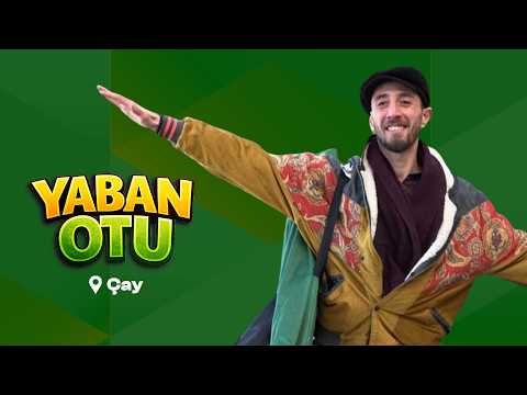 Yaban Otu - Çay | 25 Haziran 2026