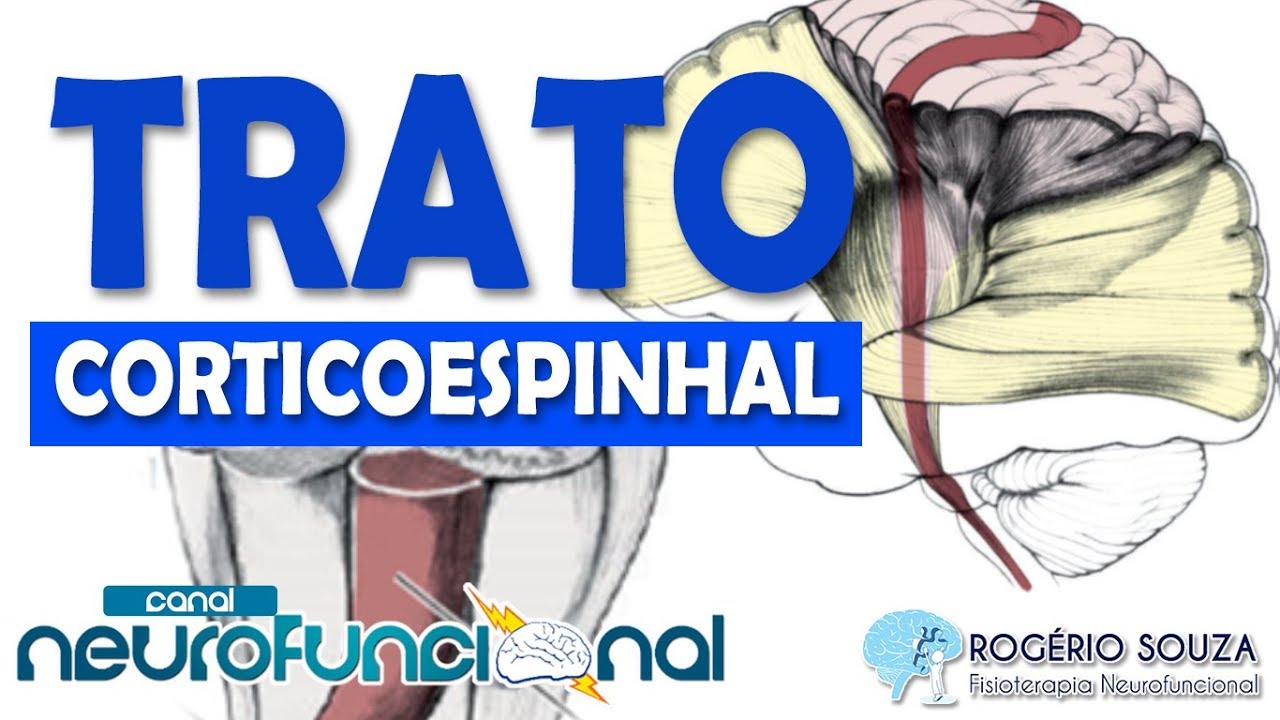 TRATO CORTICOESPINHAL (Vias Pirâmidais) - Rogério Souza