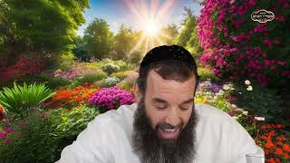 סיפור באמונה  | הרב שמואל אידלמן (הרב יוסף צבי בן פורת) - התמונה מוצגת ישירות מתוך אתר האינטרנט יוטיוב. זכויות היוצרים בתמונה שייכות ליוצרה. קישור קרדיט למקור התוכן נמצא בתוך דף הסרטון