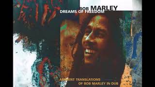 Dreams Of Freedom   Ambient Translations of Bob Marley in Dubvia torchbrowser com