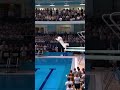 Cats Olympic Diving Competition From The Trampoline Cats CatDiving TrampolineJump Fun Shorts