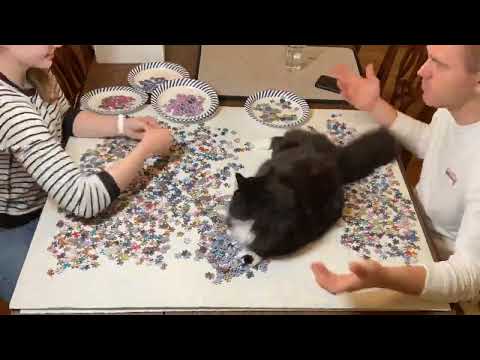 Trefl Disney 9000 Piece Puzzle: Panel E (years 1961-1989)