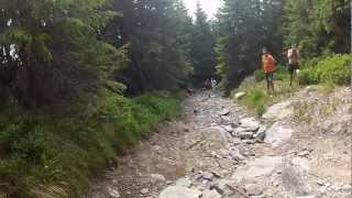 preview picture of video 'Off road Varful Bihor - Vartop'