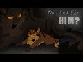 Do I Look Like Him Warriors Small Amv