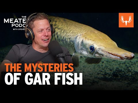 MeatEater Podcast Network and 2 more