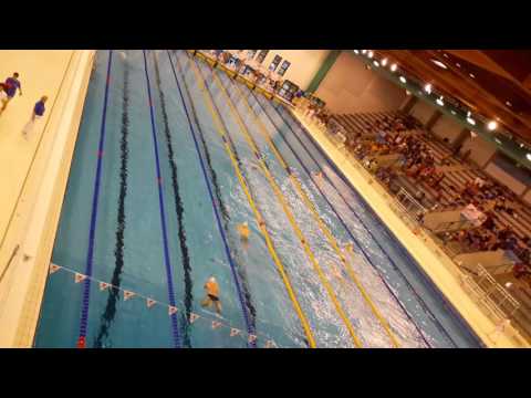 Mercante, Di Francesco, Nucciotti, Aquilani 4x50 Mx - San Marino 2016