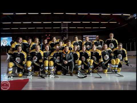 Du går aldrig ensam