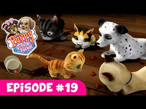 Puppy In My Pocket - Episode #19 "Tricks For Treats"