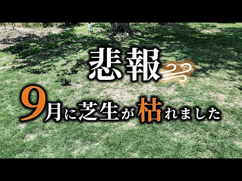 秋の肥料で芝生が元気になります トピックス