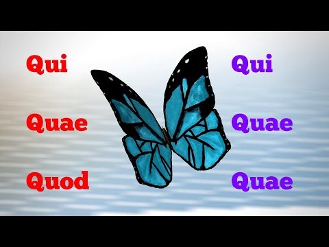 Qui Quae Quod