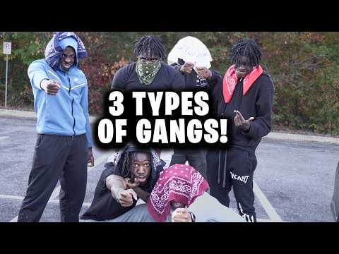 3 TYPES OF GANGS IN THE HOOD!