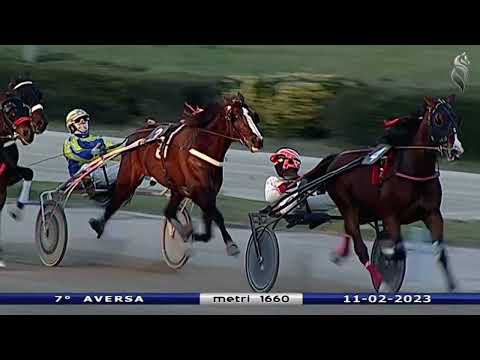 Aversa trotto 11 Febbraio 2023 - 7° Corsa