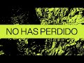 No Has Perdido (Never Lost)