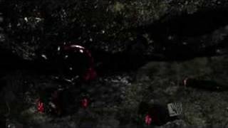 I'd Do Anything For You