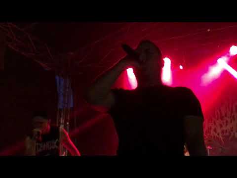 EXTERMINATION DISMEMBERMENT @ Death Feast Open Air 2019 3/3