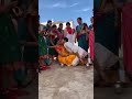 Pappi Da Pappi Da Parula