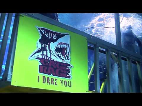 Cage Rage @ aquariaKLCC