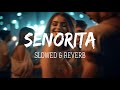 Senorita | Lofi - Slowed + Reverb | Zindagi Na Milegi Dobara | Hrithik Roshan | Remix Music