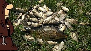 Ловля карася в самарской области 2019
