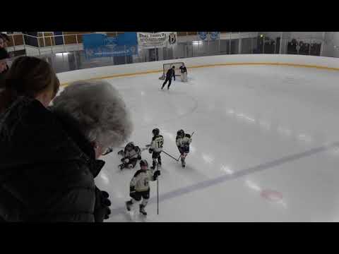 BJR09 - Pro Hockey Team