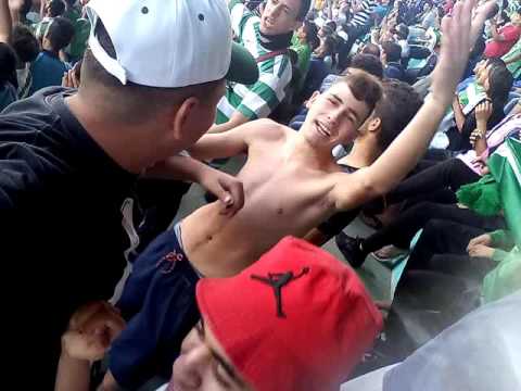 Les supporter de rc kouba vs Mc mkhadma stade de kouba (kimo)