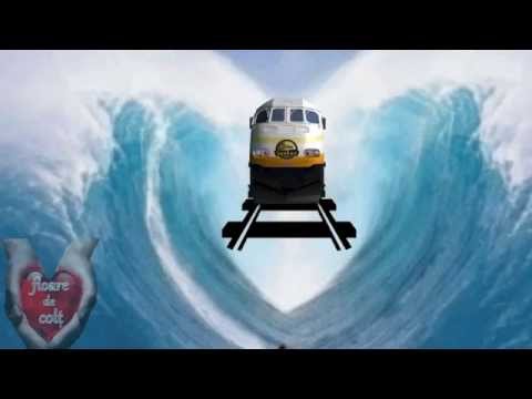 VIAȚA MI PARE UN TREN LUNG ...