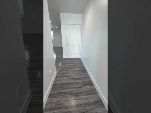 LANFRANCO(3743) - Video 2 of 2