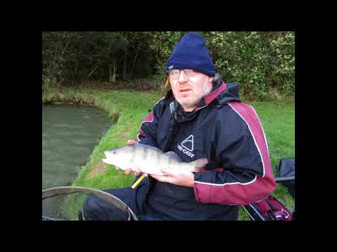 Waggler bream and perch fishing in 50 MPH winds, Windsor lakes Cottington