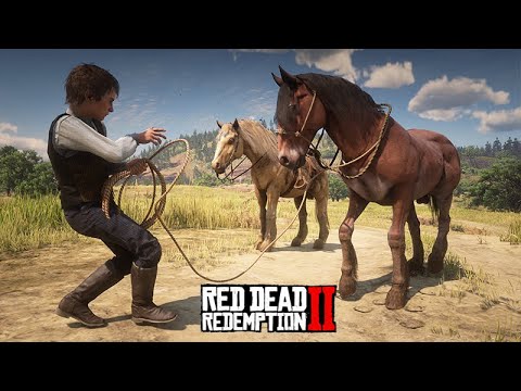 O PEQUENO DOMADOR DE CAVALOS  -  A Fazenda de John Marston -  Red Dead Redemption 2