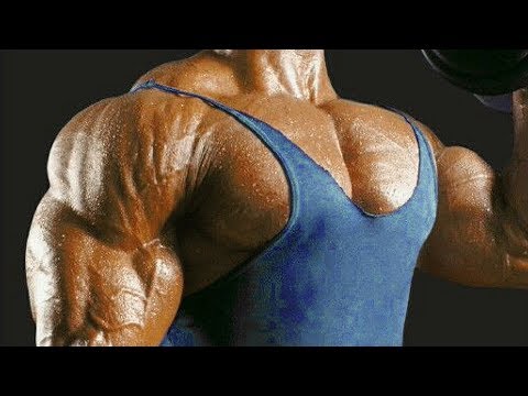 Lee Haney - THE 8X MR OLYMPIA