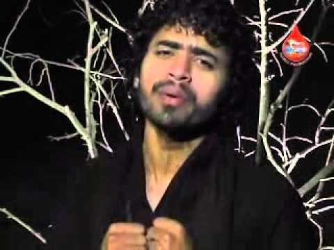 Muje Le Chalo Baba | Ayaz Hussain Zaidi Nohay 2013 | Noha 2013 | Ayaz Meeruthi Noha 2013 | India