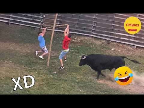 SI TE RÍES PIERDES NIVEL DIOS #650😂 Los Videos Graciosos Y Memes Más Virales Del 2026 😁