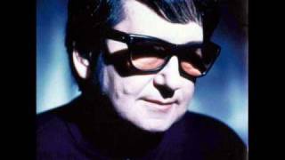 Animals That Swim - Roy.wmv