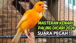Download lagu MASTERAN KENARI GACOR NGEROL PANJANG COCOK UNTUK PANCINGAN Kenari Paud AGAR cepat GACOR! mp3 Download lagu MASTERAN KENARI GACOR NGEROL PANJANG COCOK UNTUK PANCINGAN Kenari Paud AGAR cepat GACOR! mp3