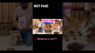 Royal canin cat dry food review #shorts #review #catlover #short #youtube