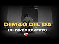 Dimag Dil Da (Slowed + Reverb) song #lofi
