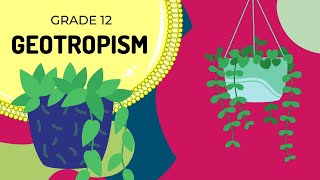 GEOTROPISM | Easy to Understand