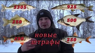 Форумы о рыбалке рыбалка ростовская область