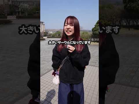 200名越えの多国籍サークルってどんなの？国際大学APUのよさこいサークルメンバーにインタビュー！#大学  #よさこい #大学選び #留学生活 #まるで海外 #apu #立命館アジア太平洋大学