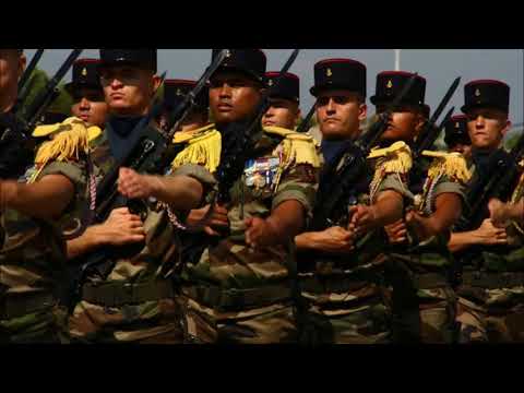 Pour la France en danger