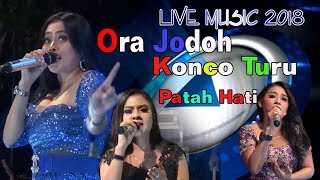 Download lagu BINTANG TAMU ''ADELLA'' NIKEN IRA  - ORA JODOH - KONCO TURU - FULL ALBUM NBY 2018 mp3