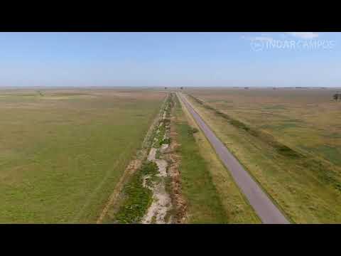 INDAR Campos | Daireaux | Buenos Aires | Ganadero | 463 Has