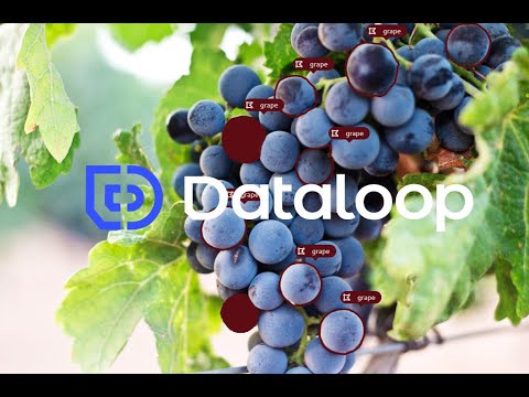Auto annotation of objects using Dataloop AI logo