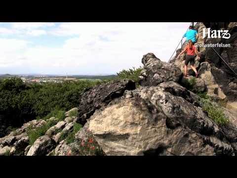 Natur pur - Berauschend schöne Wildnis im Harz